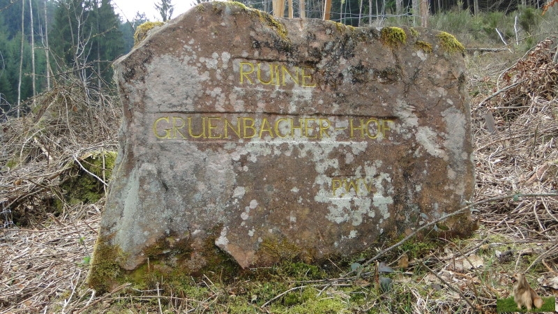 Ritterstein Nr. 200-5 Ruine Gruenbacher-Hof.JPG - Ritterstein Nr.200 Ruine Gruenbacher-Hof